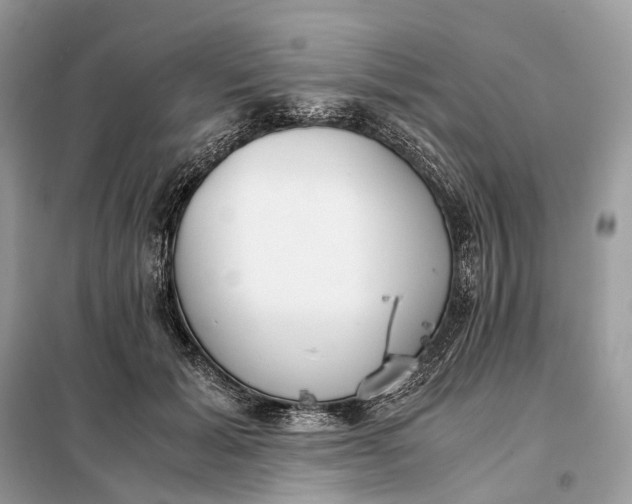 X0000099230605200805081559