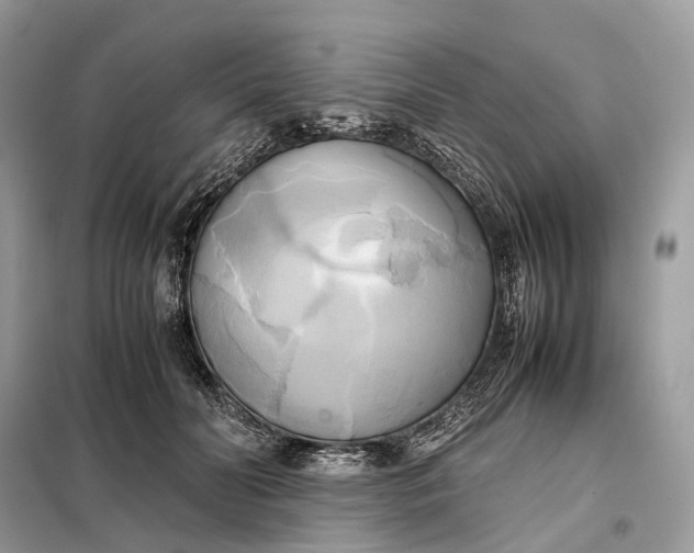 X0000099230606200805081559