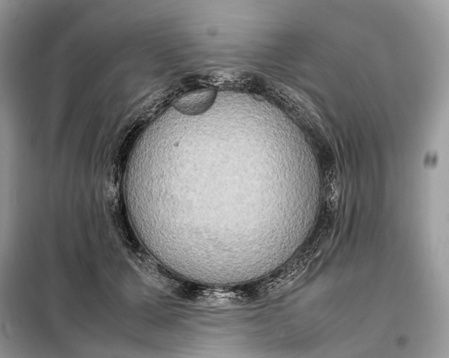 X0000099230607200805081559