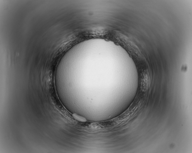 X0000099230608200805081559