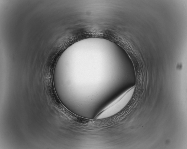 X0000099230609200805081559