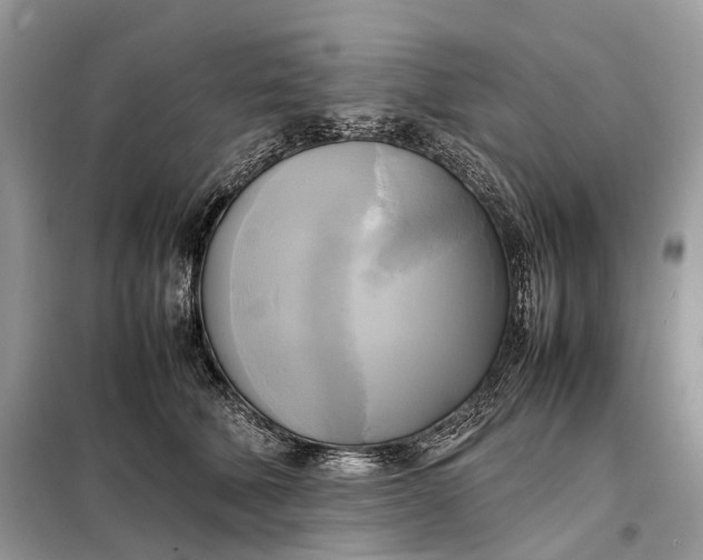 X0000099230610200805081559