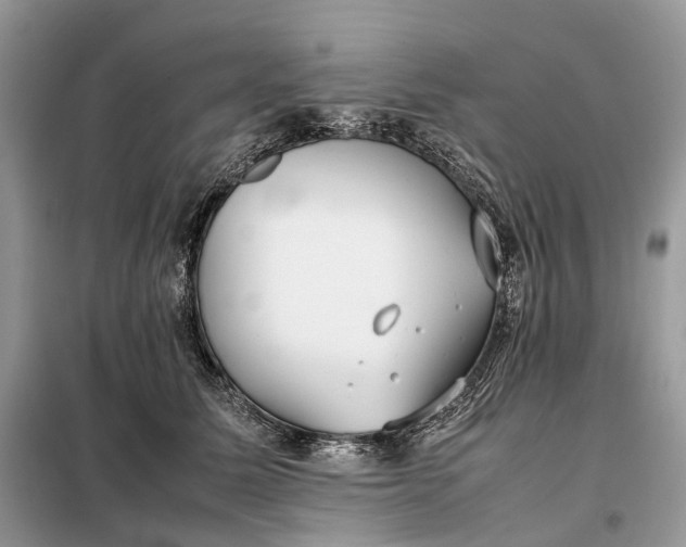 X0000099230611200805081559