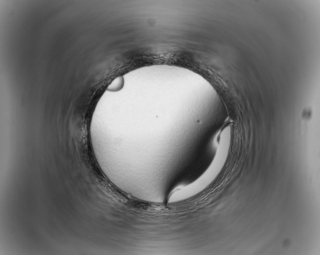 X0000099230613200805081558