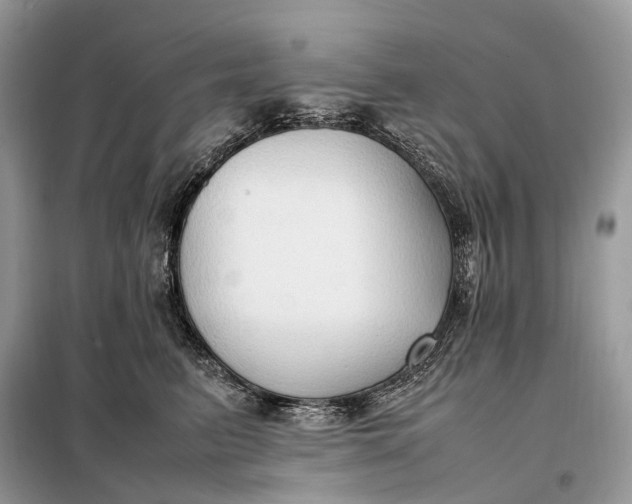 X0000099230615200805081558