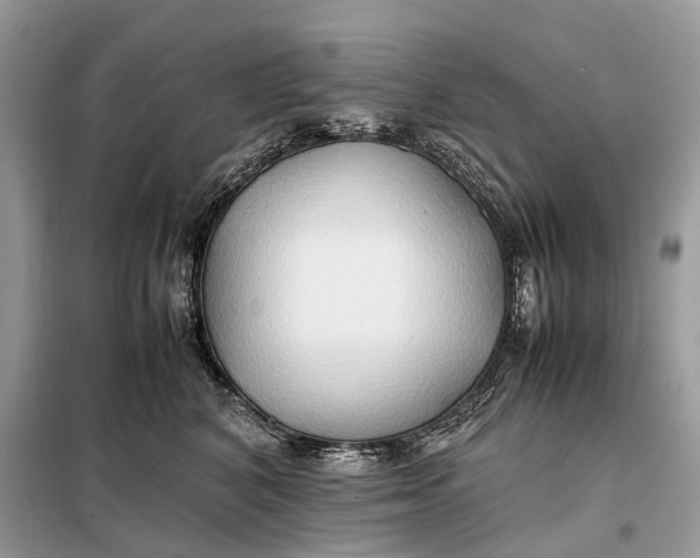 X0000099230616200805081558