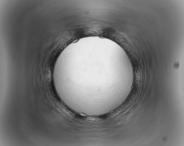 X0000099230617200805081558