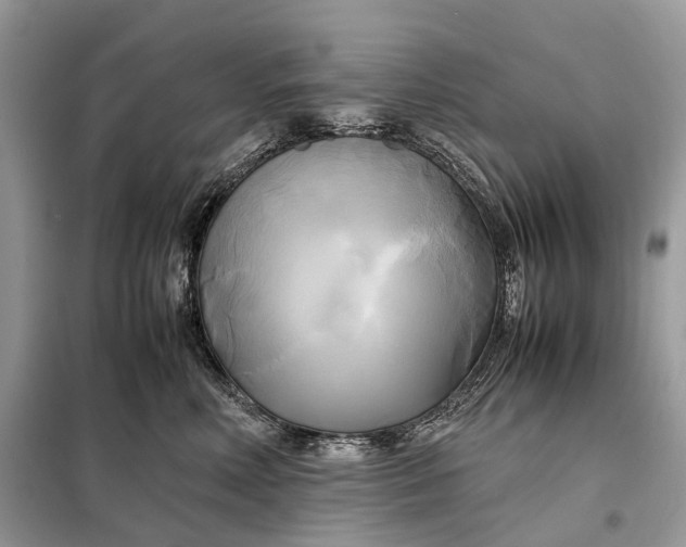 X0000099230618200805081558