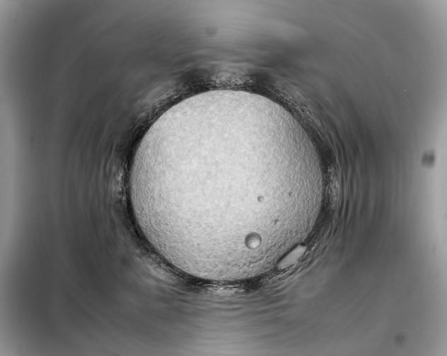 X0000099230619200805081558