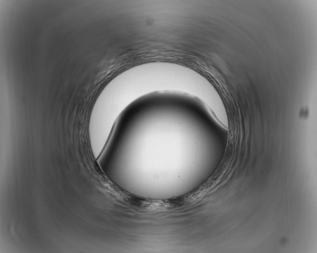 X0000099230621200805081558