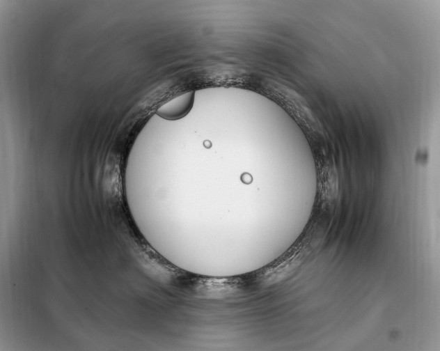 X0000099230622200805081558