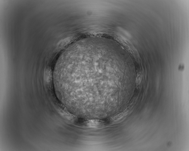 X0000099230623200805081558