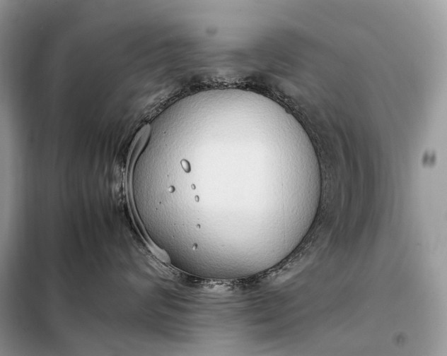 X0000099230624200805081558