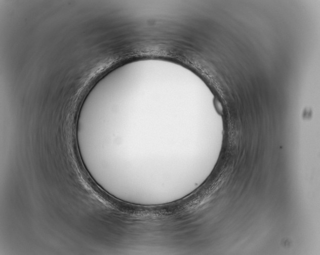 X0000099230625200805081558