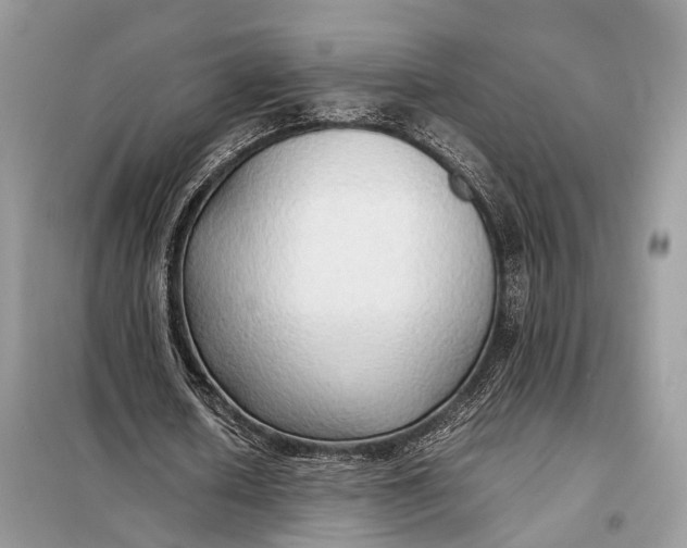 X0000099230626200805081558