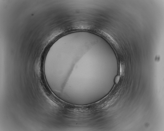 X0000099230627200805081558