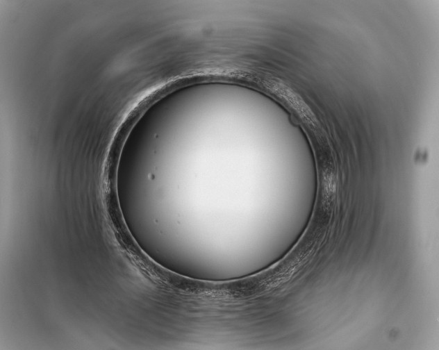 X0000099230628200805081558