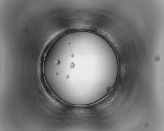 X0000099230629200805081558