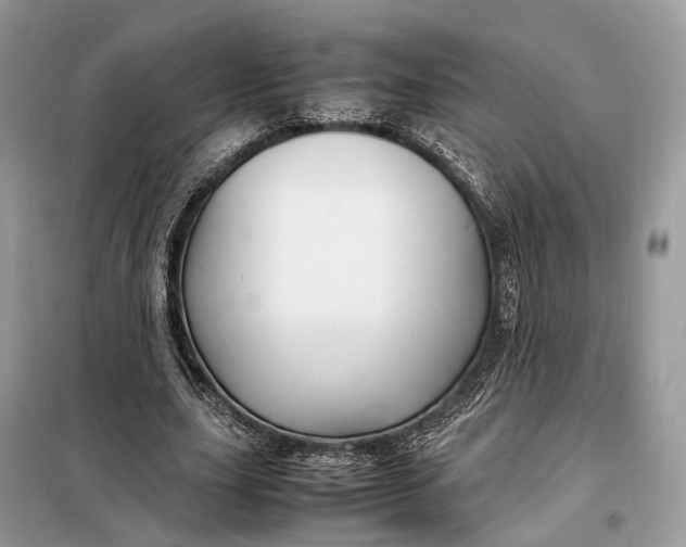 X0000099230631200805081558