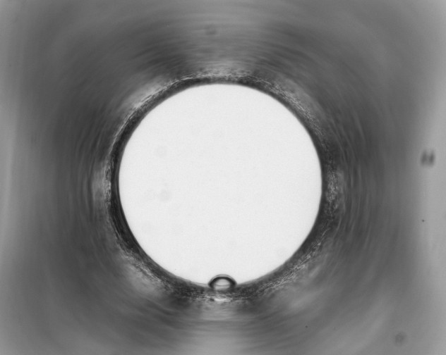 X0000099230632200805081558