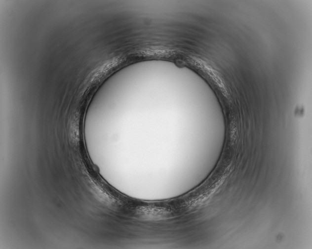 X0000099230633200805081558