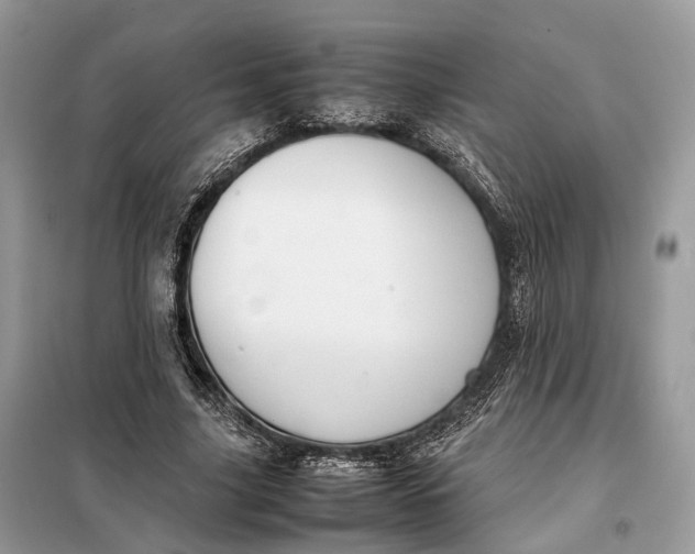 X0000099230635200805081558