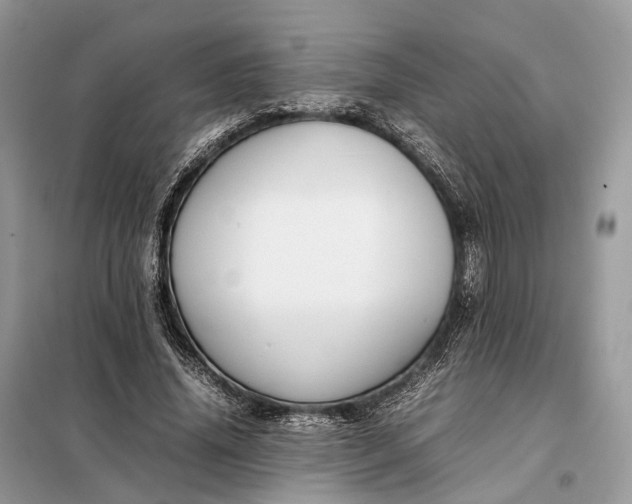 X0000099230636200805081558