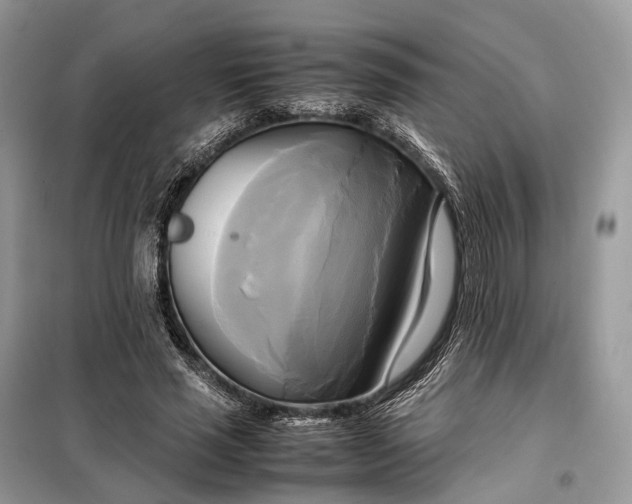 X0000099230637200805081558