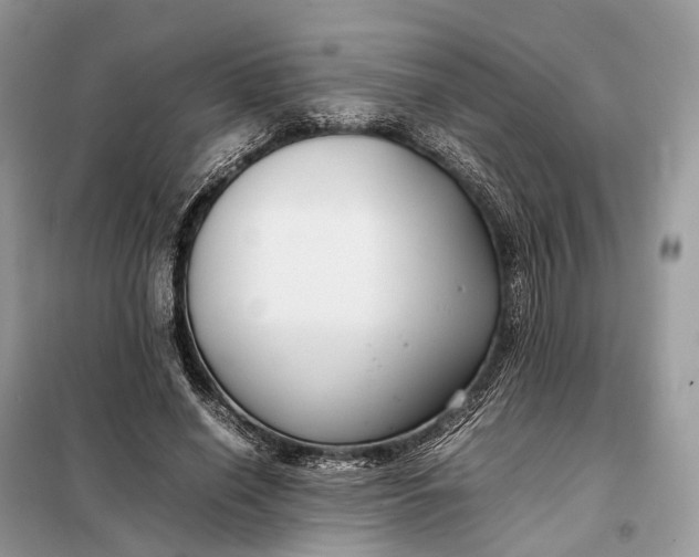 X0000099230638200805081558