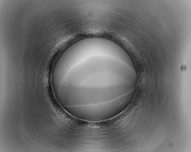 X0000099230640200805081558