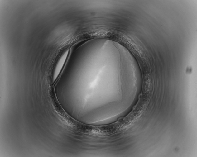 X0000099230641200805081558