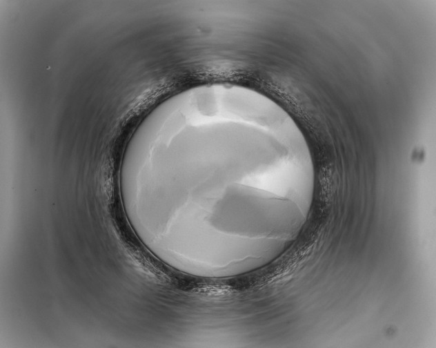 X0000099230642200805081558