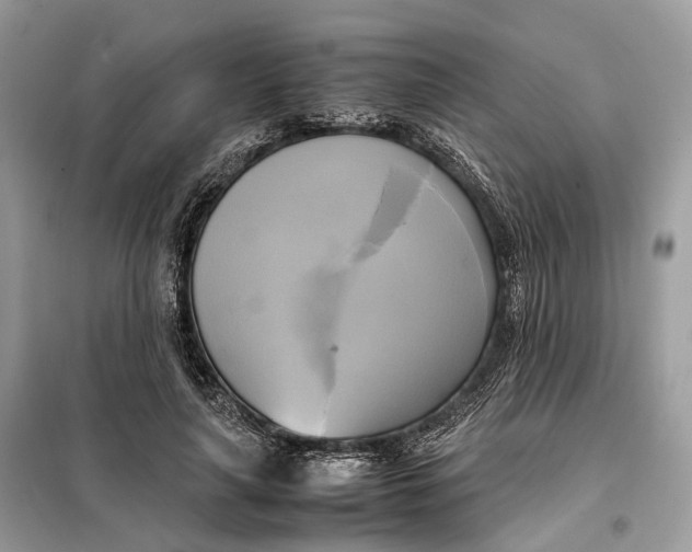 X0000099230643200805081558