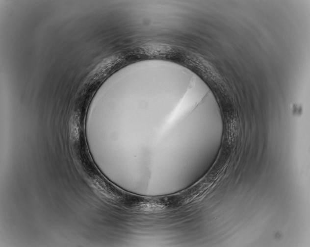 X0000099230644200805081558