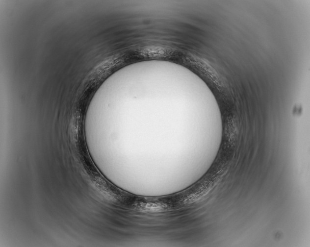 X0000099230645200805081558