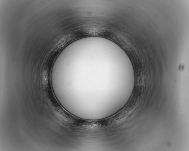 X0000099230646200805081558