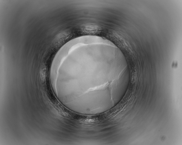 X0000099230647200805081558