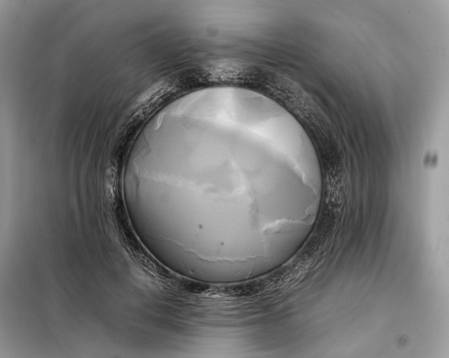 X0000099230648200805081558