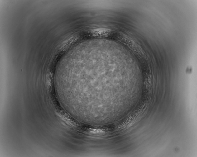 X0000099230649200805081558