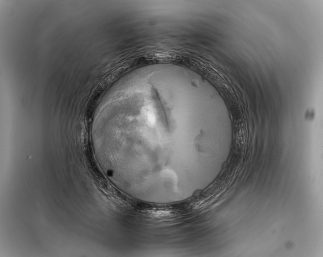 X0000099230651200805081558