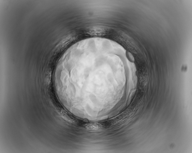 X0000099230652200805081558