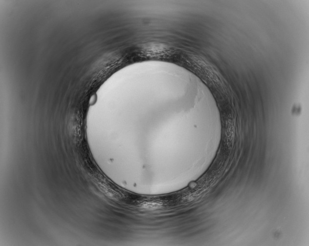 X0000099230653200805081558