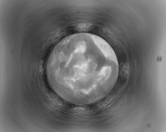 X0000099230655200805081558