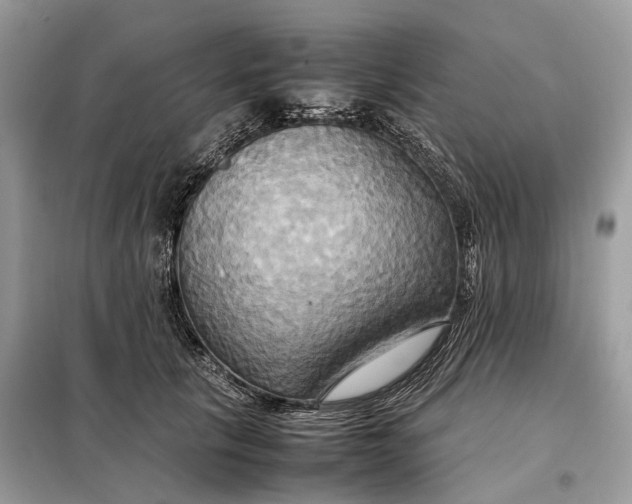 X0000099230657200805081558