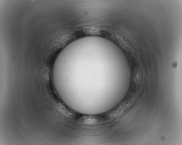 X0000099230658200805081558