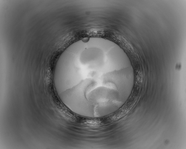 X0000099230659200805081558