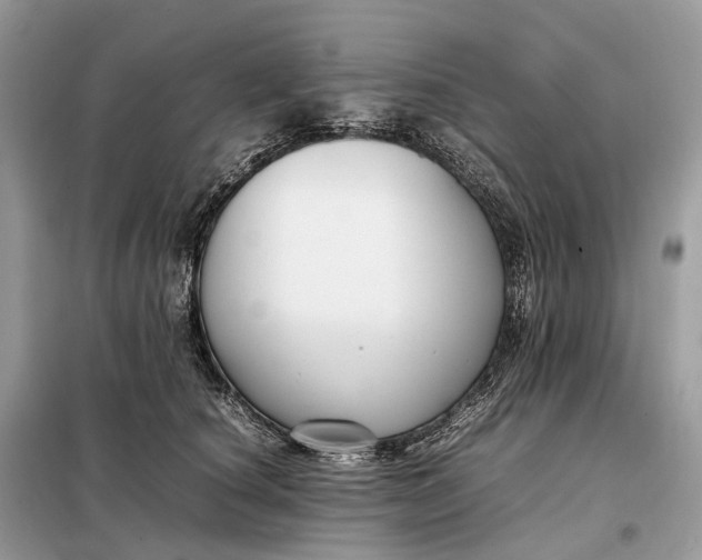 X0000099230660200805081558