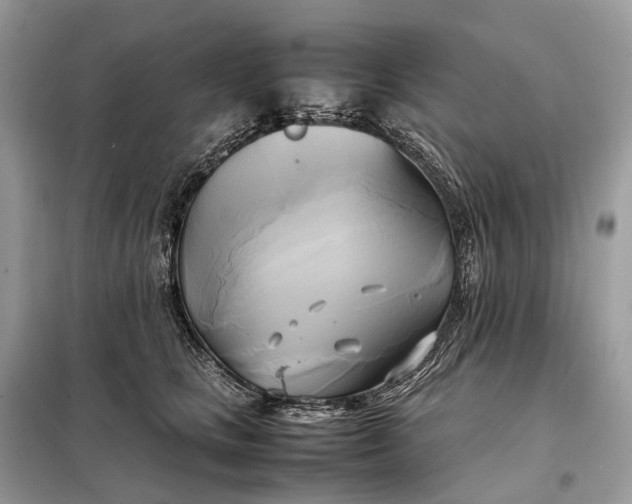 X0000099230661200805081558