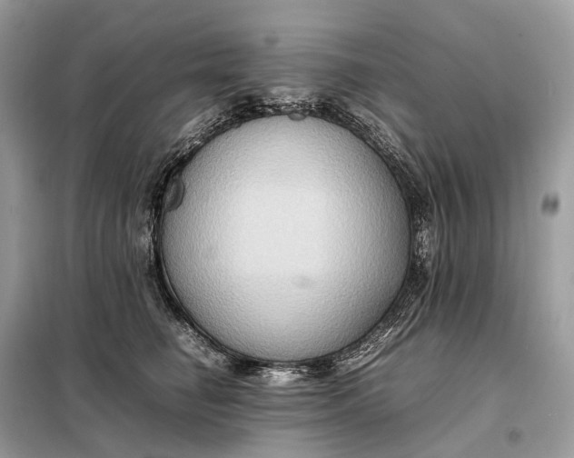 X0000099230662200805081558