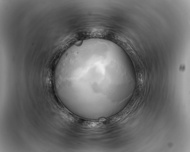 X0000099230663200805081558